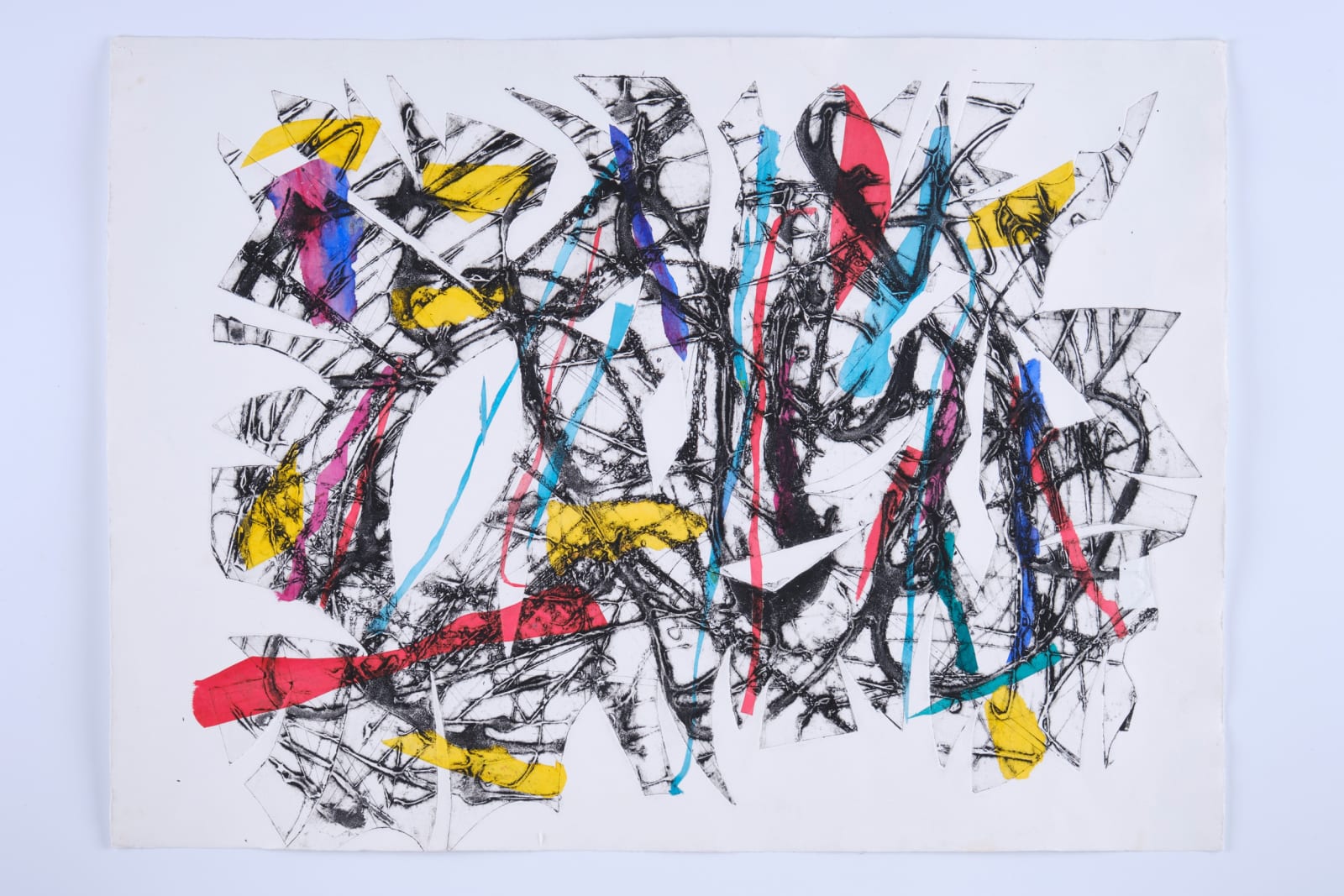 An eye for all seasons , 2015