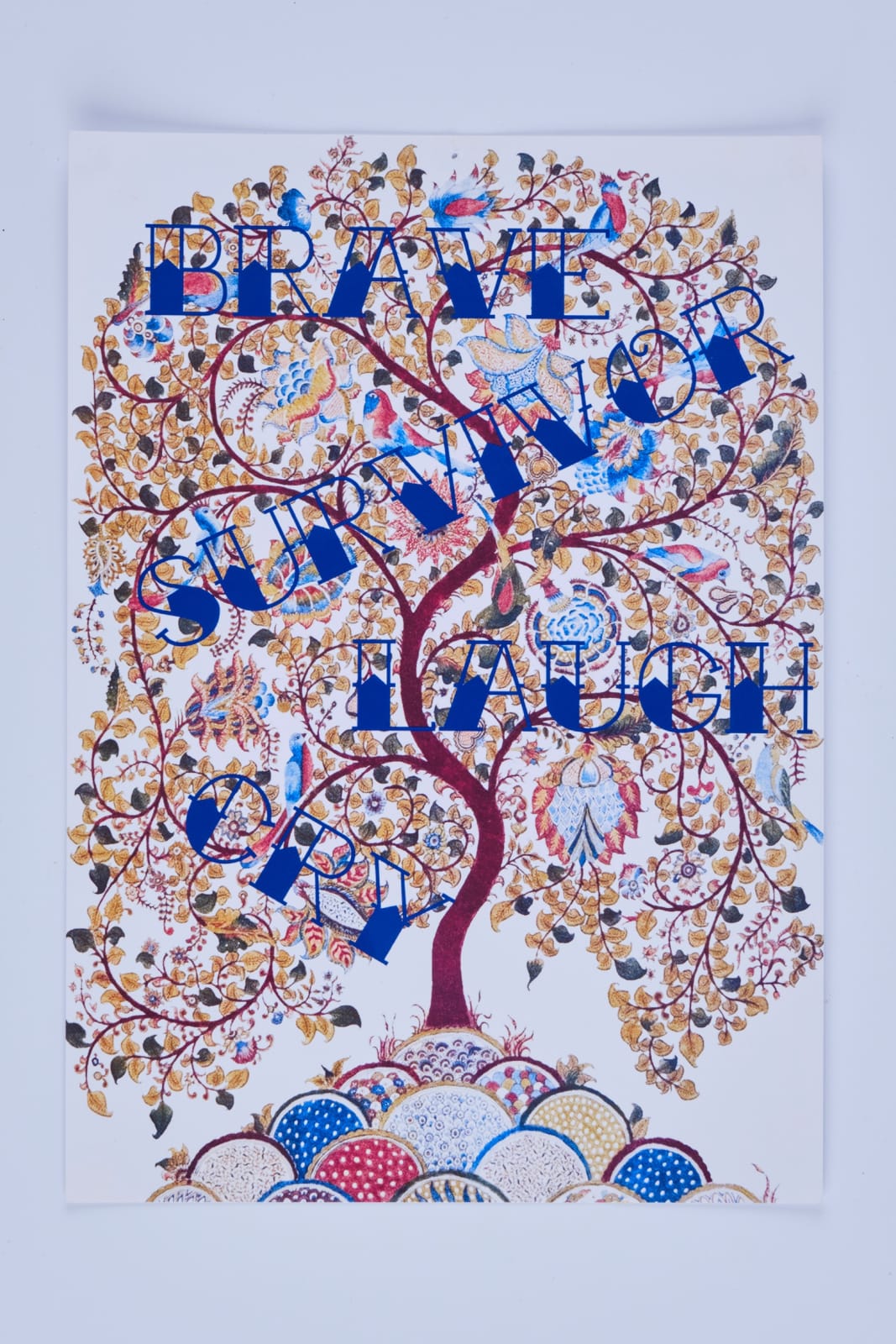 Brave Survivor Laugh Cry, 2015