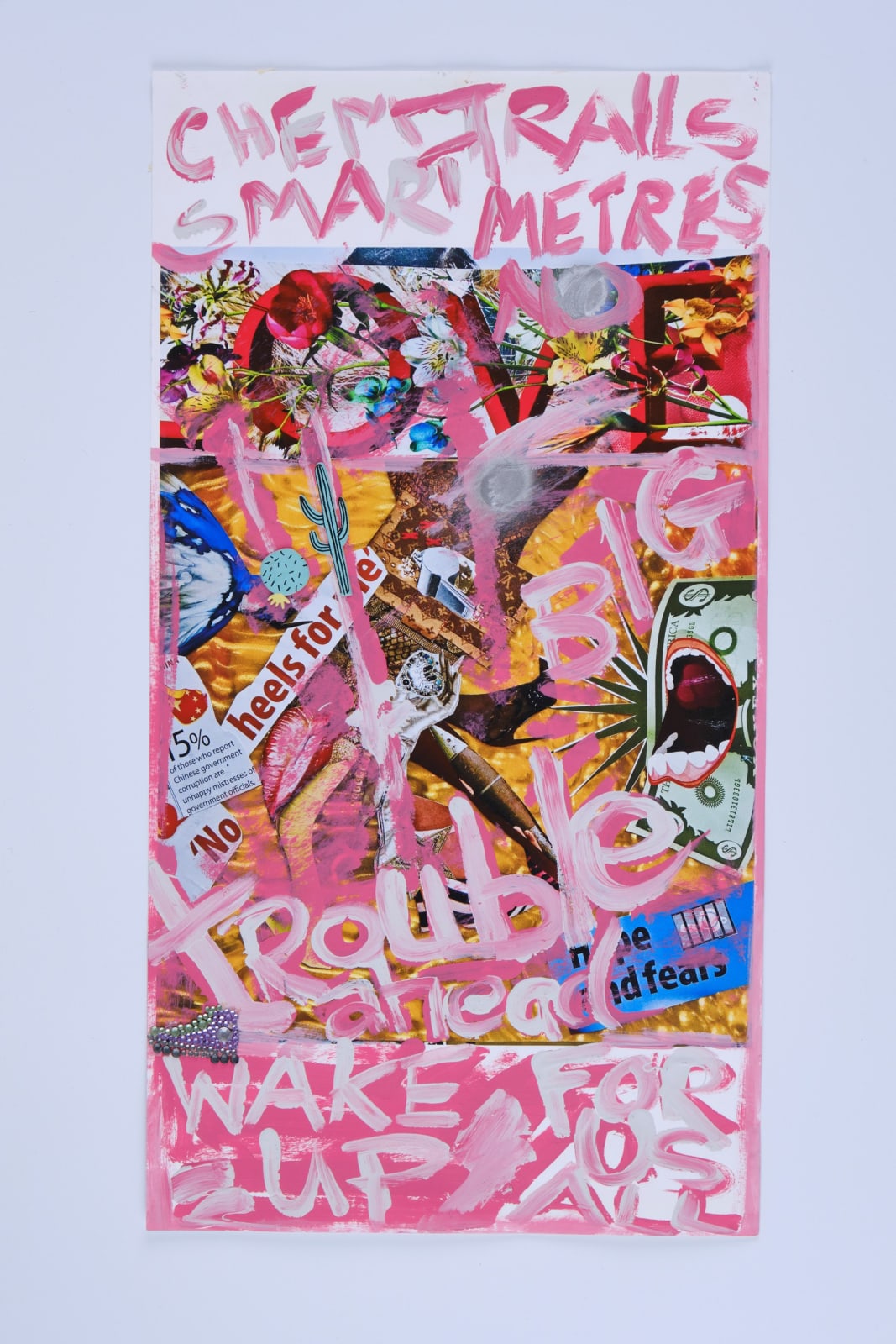 Chemtrails and Smartmeters, 2015