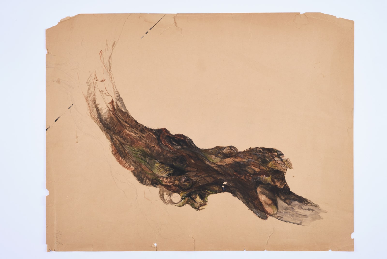 Piece of Bark, 1976