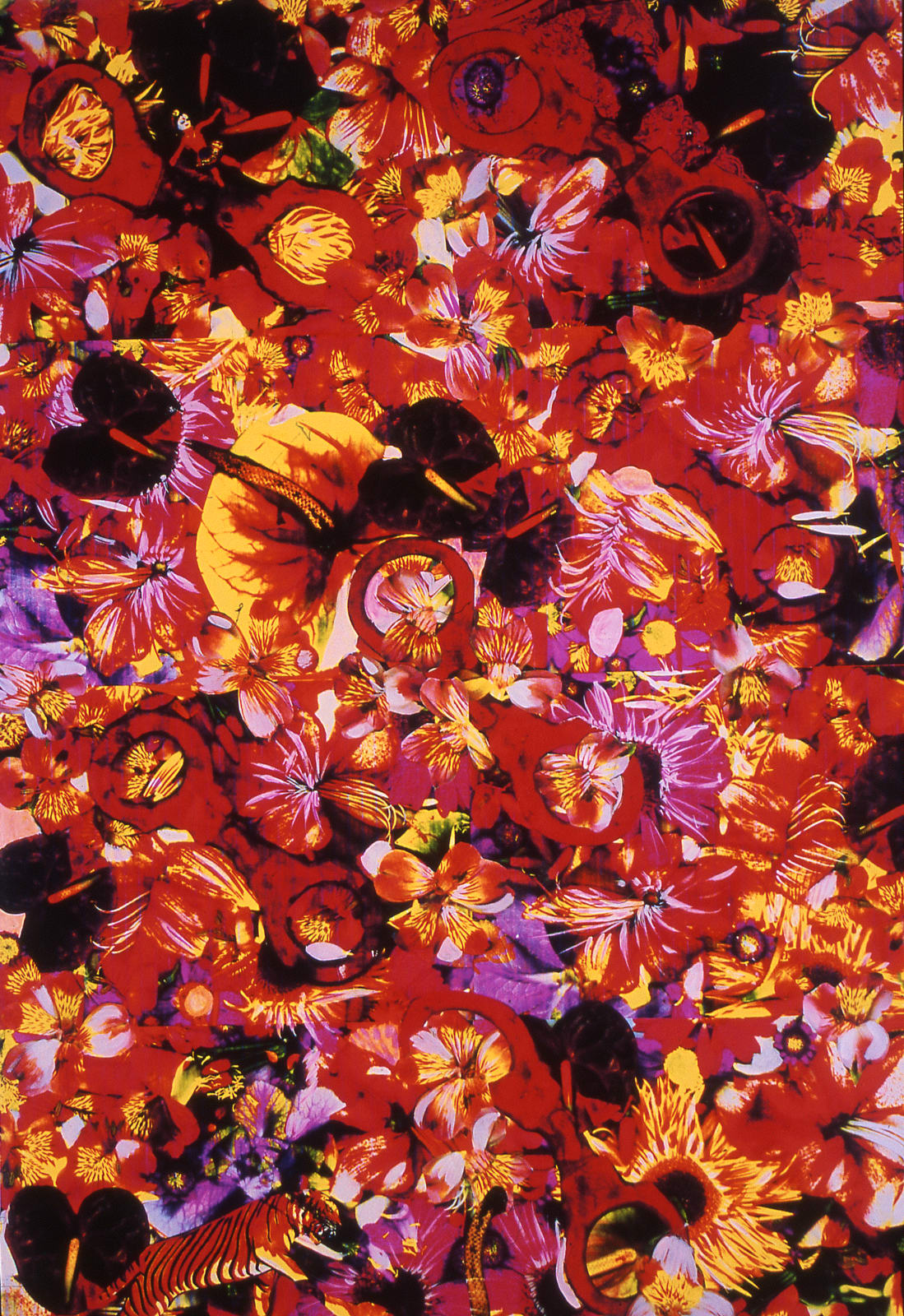 Jelly Handcuffs, 2006-16