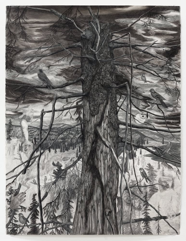 Jeff Olsson Trädet / The Tree, 2023 Kol, torrpastell och grafitpulver på papper / Charcoal, dry pastel and graphite powder on paper 150x114 cm