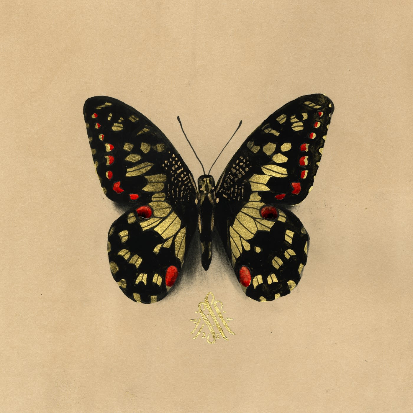 Alessandra Maria, Butterfly no. 92,  2022