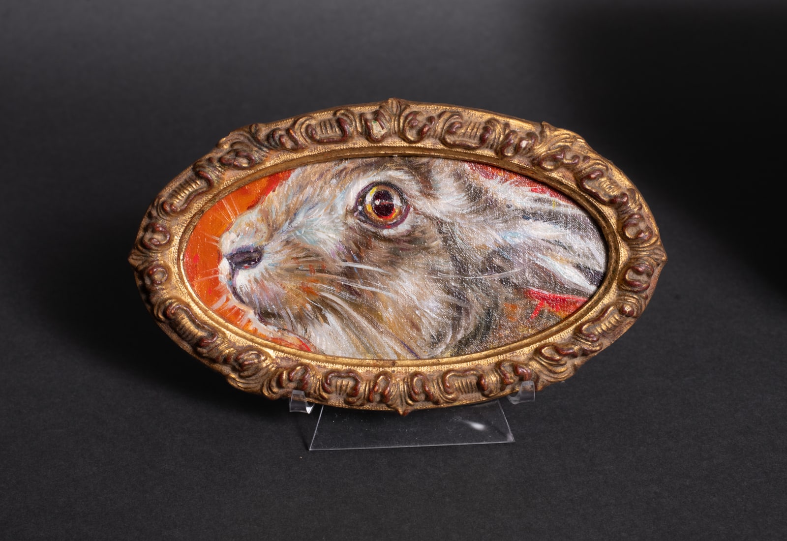 Gail Potocki, Rabbit