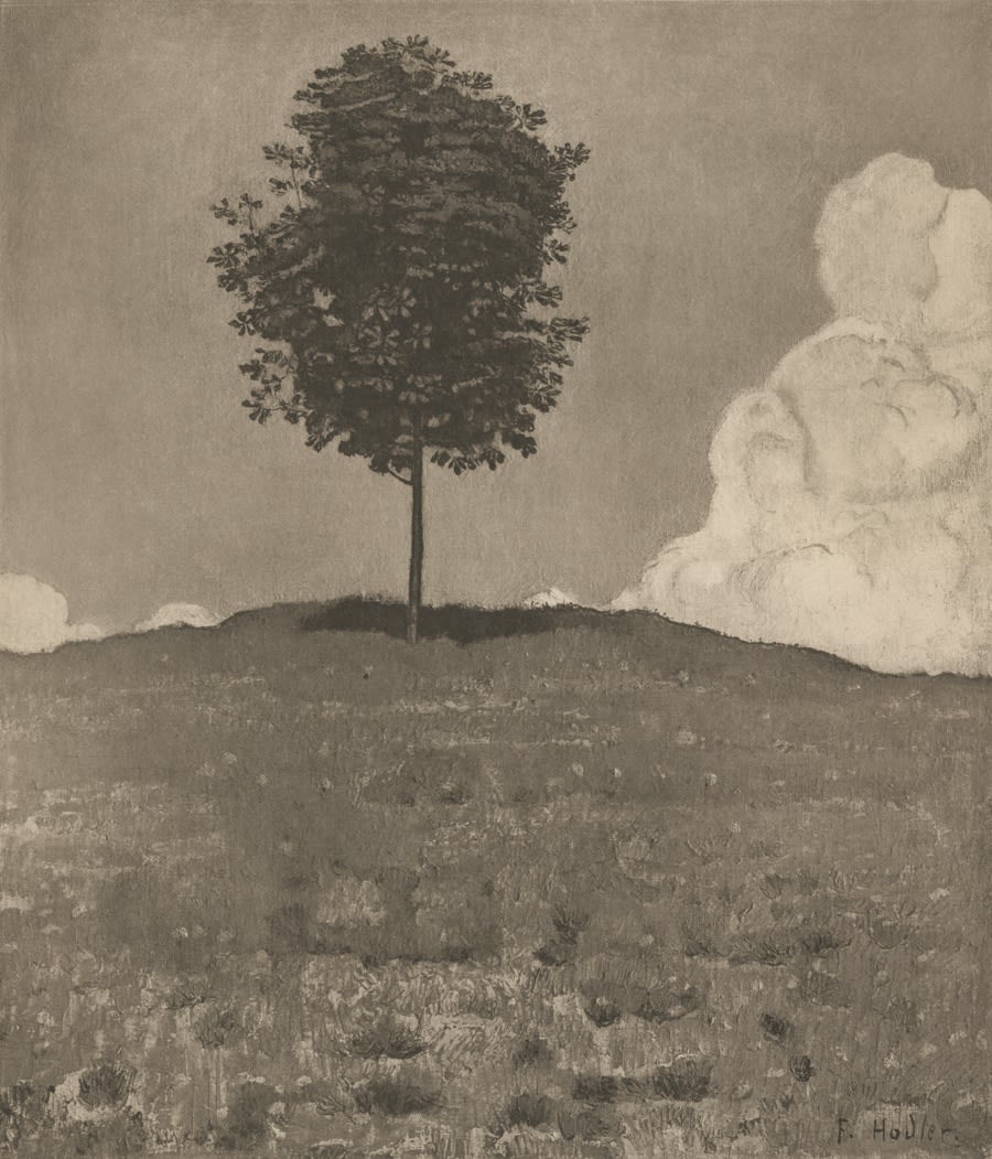 Ferdinand Hodler, Chestnut Tree, ca 1914