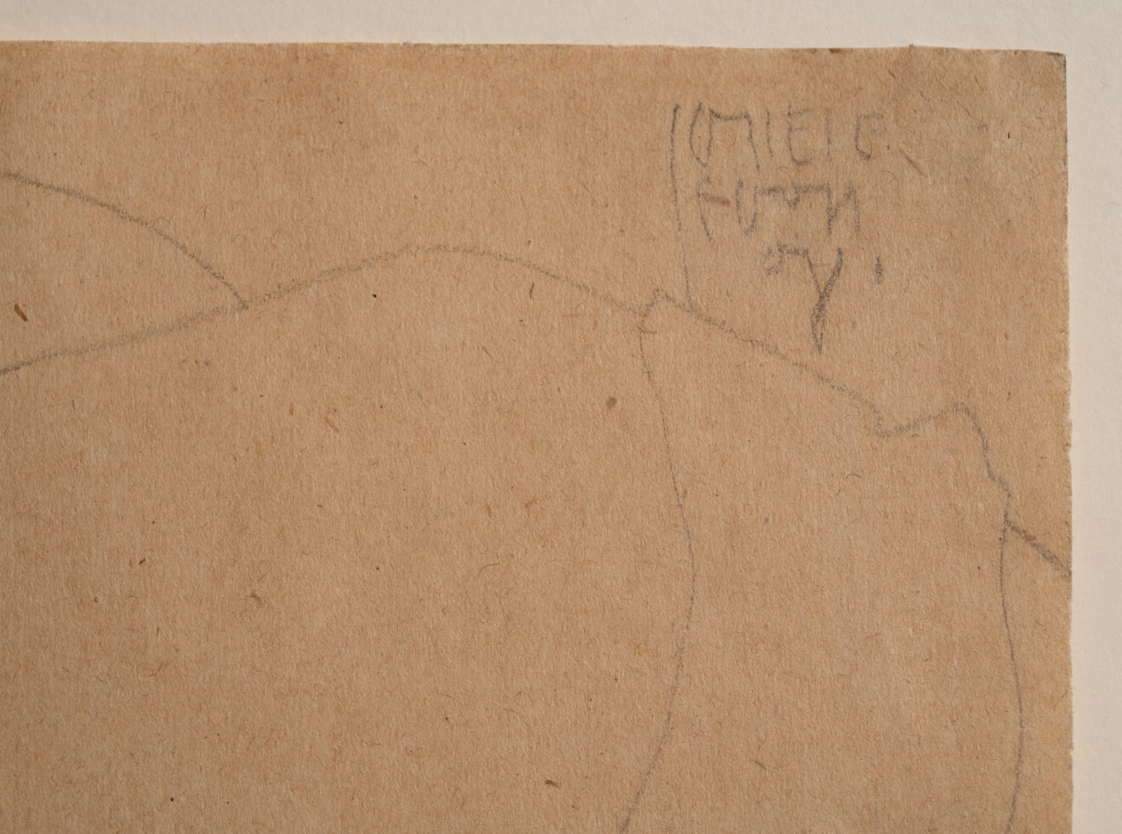 Egon Schiele, Schlafendes Mädchen (Portrait of Melanie Schiele; Study for Danae),  1908