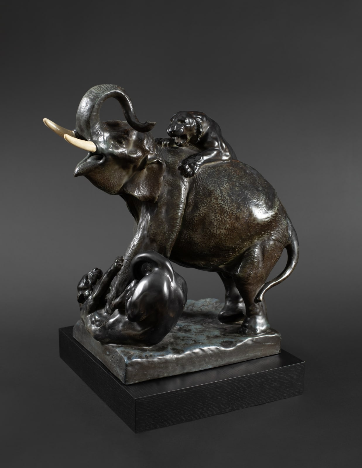 Amphora, The Invincible,  1906