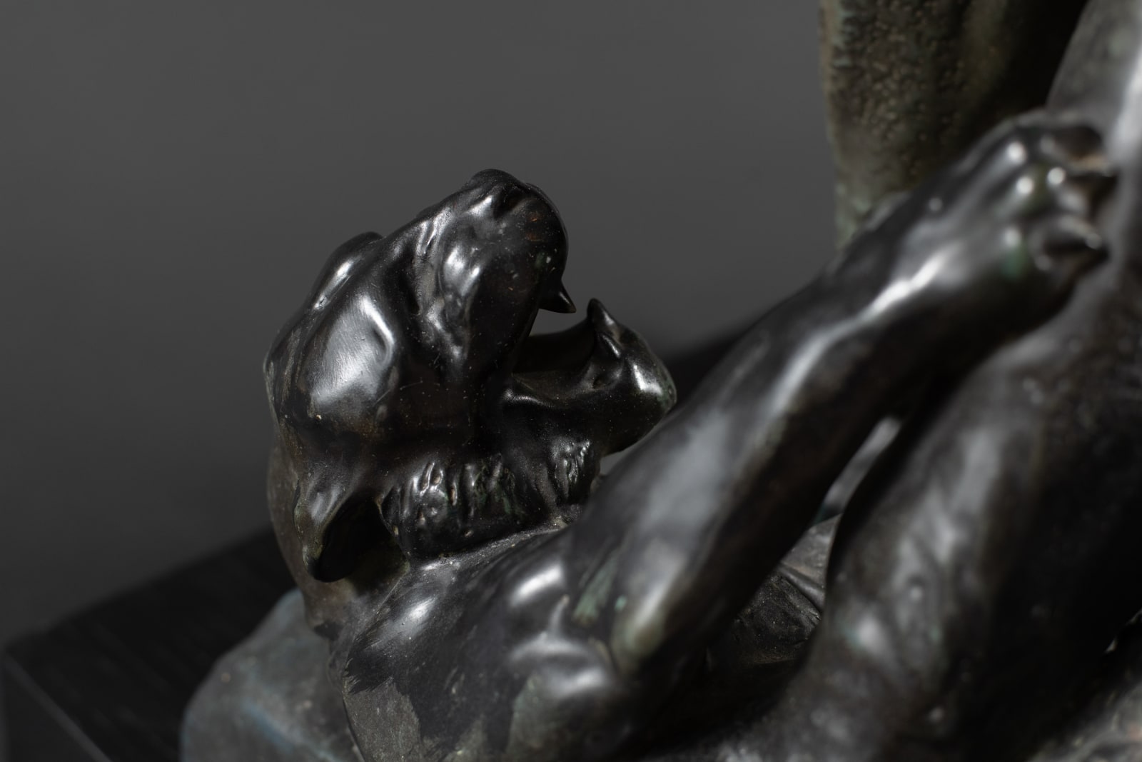 Amphora, The Invincible,  1906