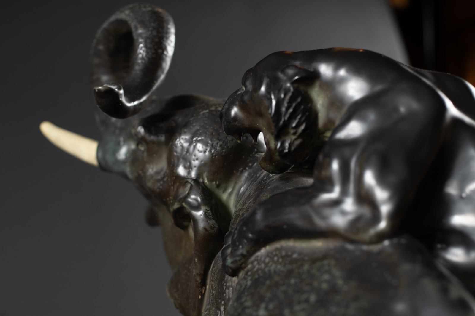 Amphora, The Invincible,  1906