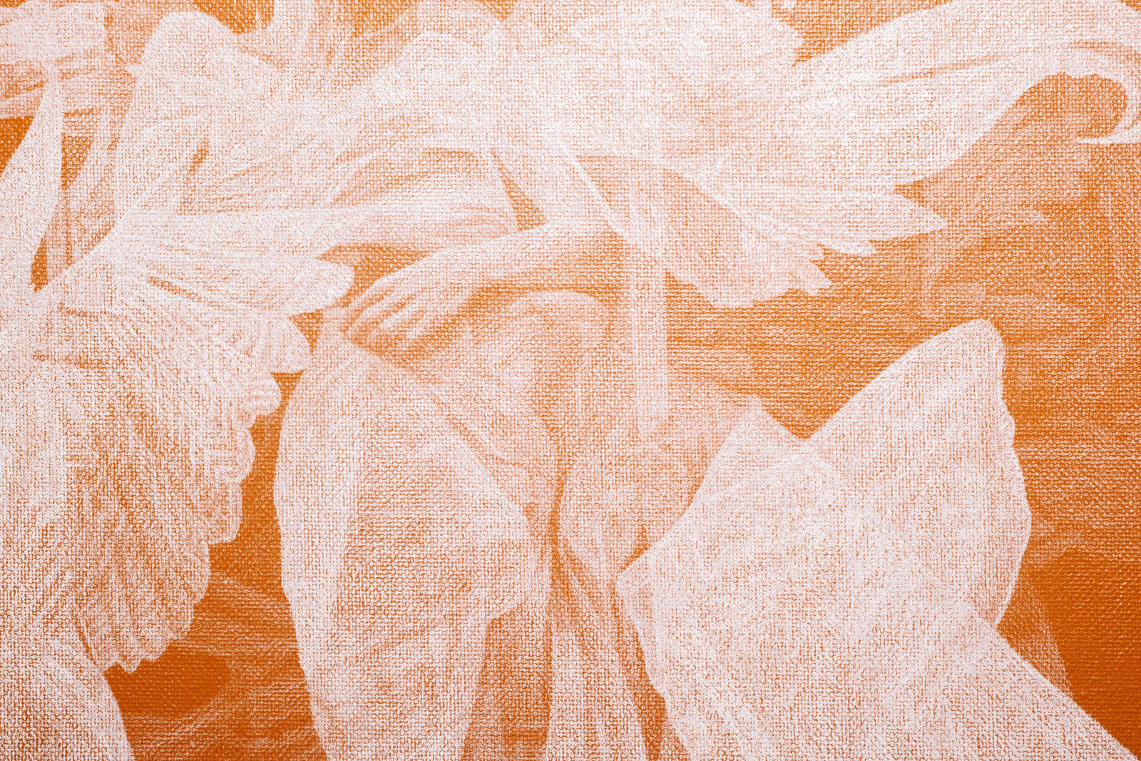 Julio César Delgado, Acanthis, 2024