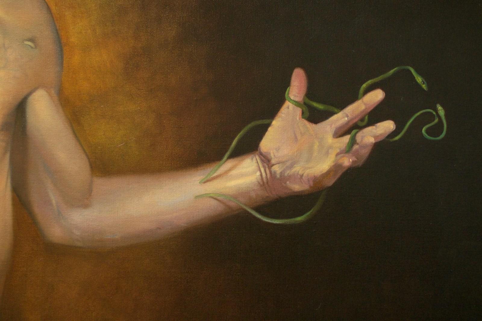 David Abed, Antonyms,  2014