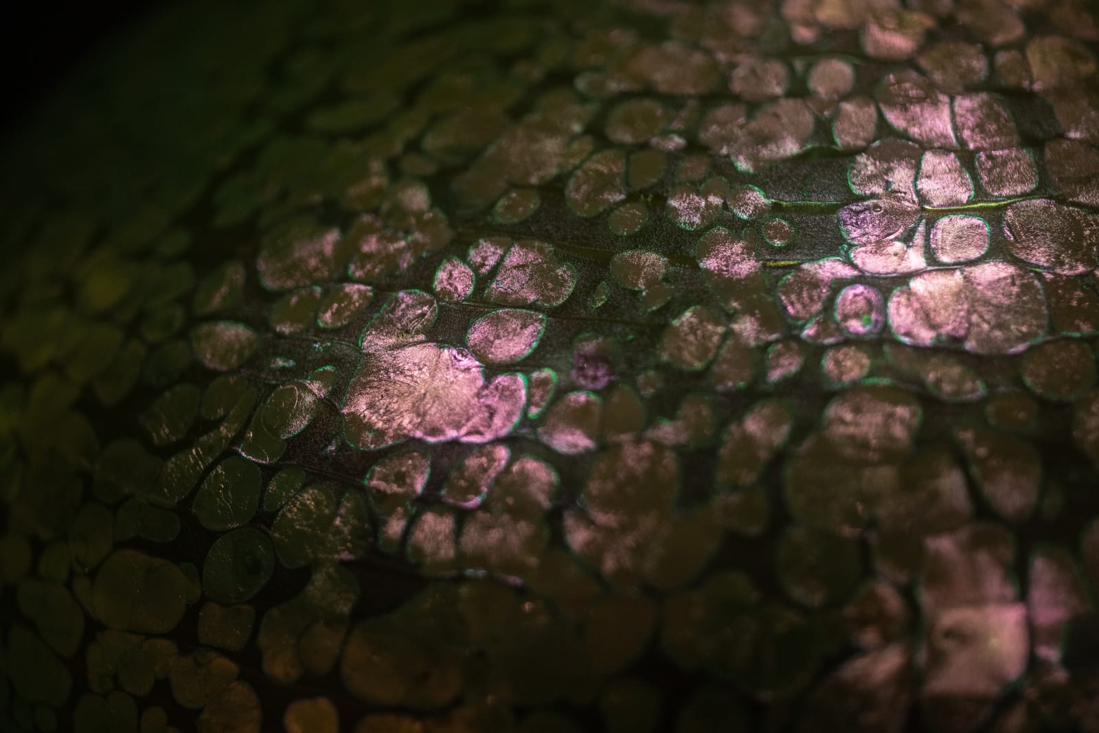 Gustav Gurschner,  Figurative Lamp,  c. 1900