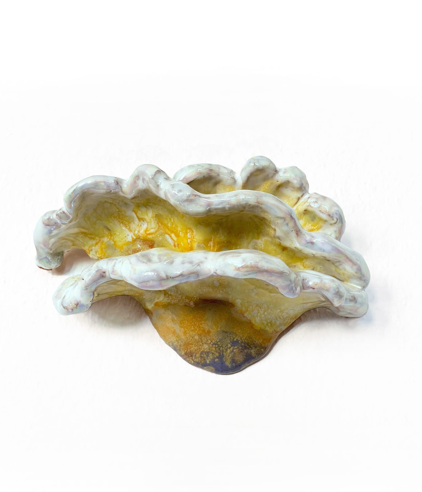 Rosi Steinbach, Schwefelporling breit, 2024