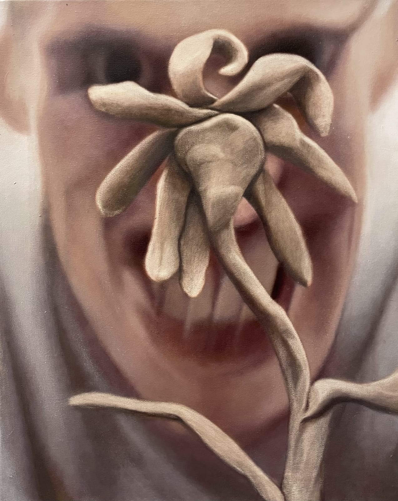 Julian Simon, Hey, 2025