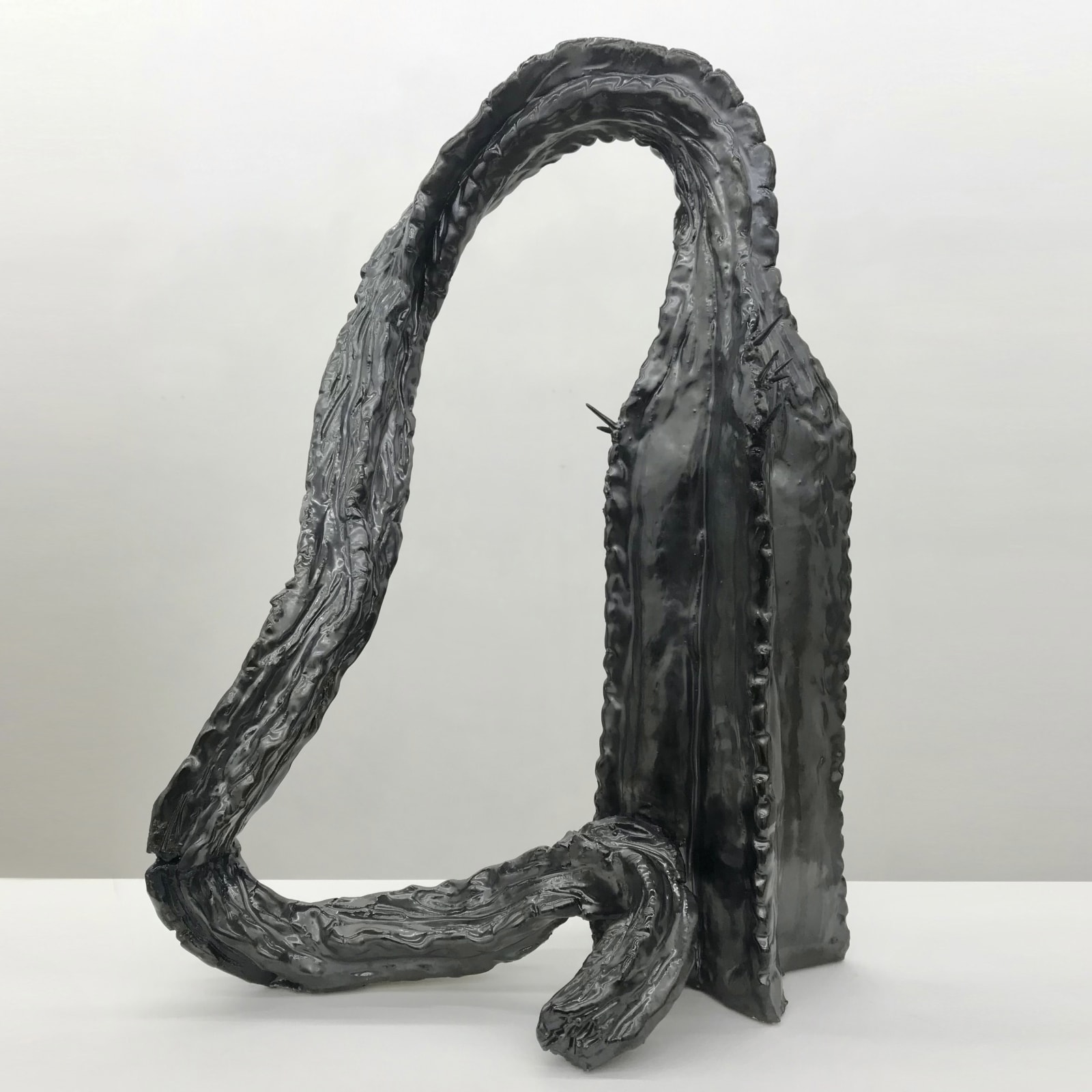 Rosi Steinbach, Cactus, 2020