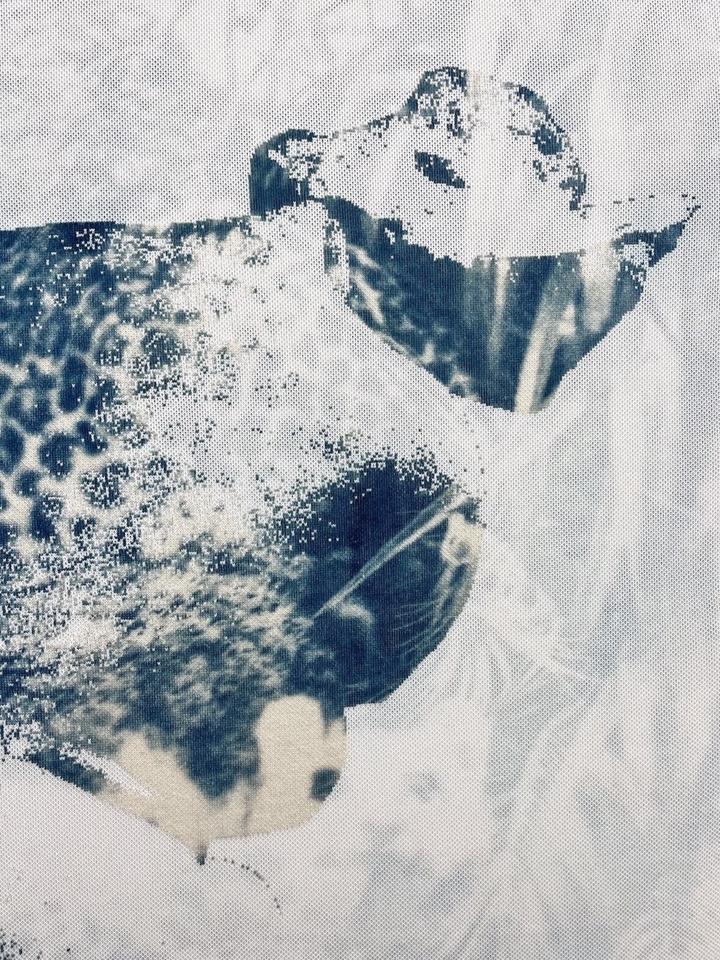 Klara Meinhardt, Crouching Aphrodite 3, 2023