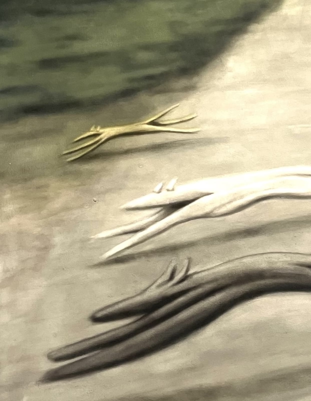 Julian Simon, Pack, 2025