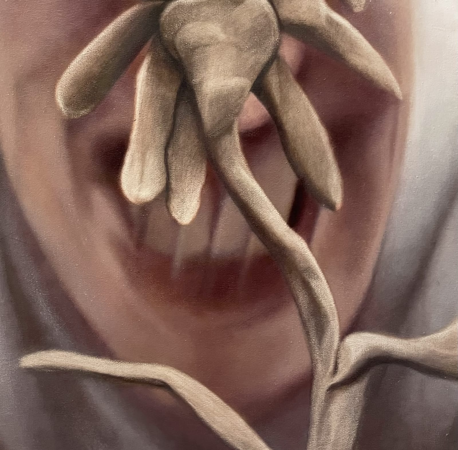 Julian Simon, Hey, 2025