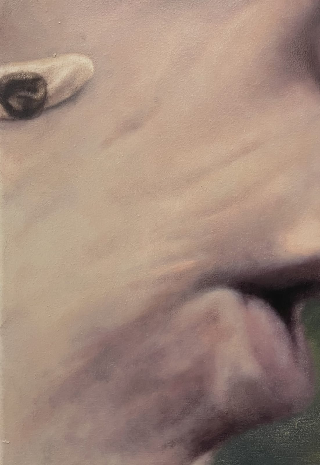 Julian Simon, Mean drip, 2025