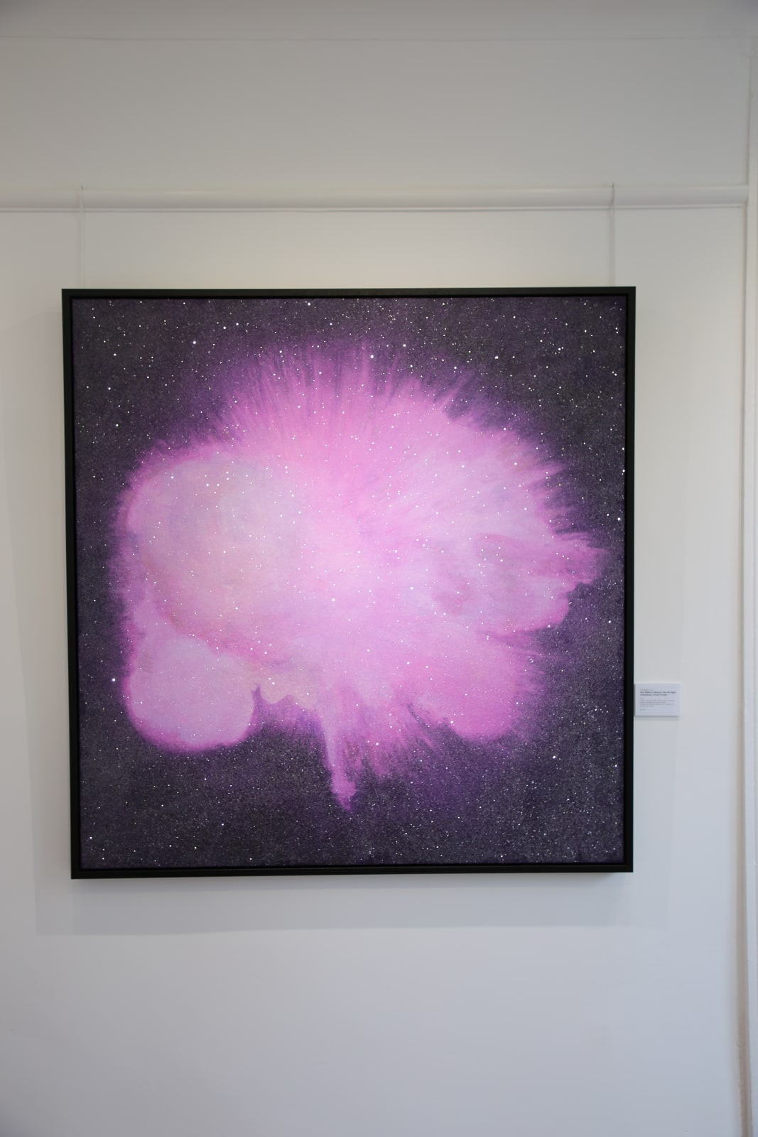 Christian Furr, Jouissance - Purple, 2016