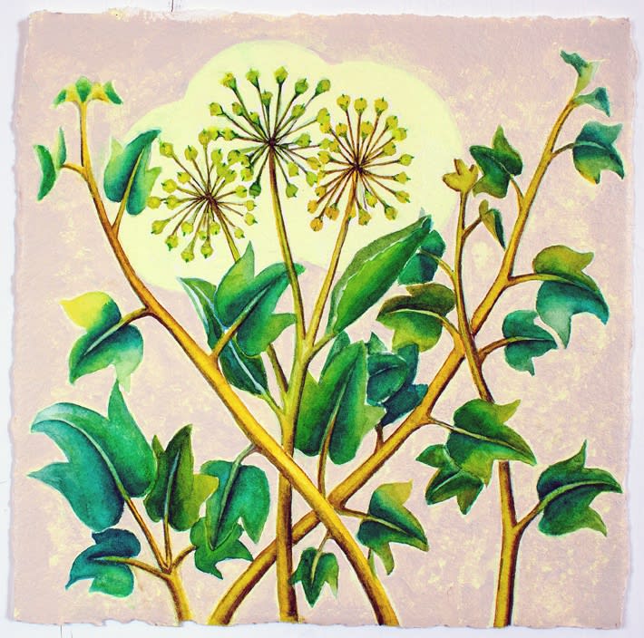 Kirsty Lorenz, Ivy for tenacity