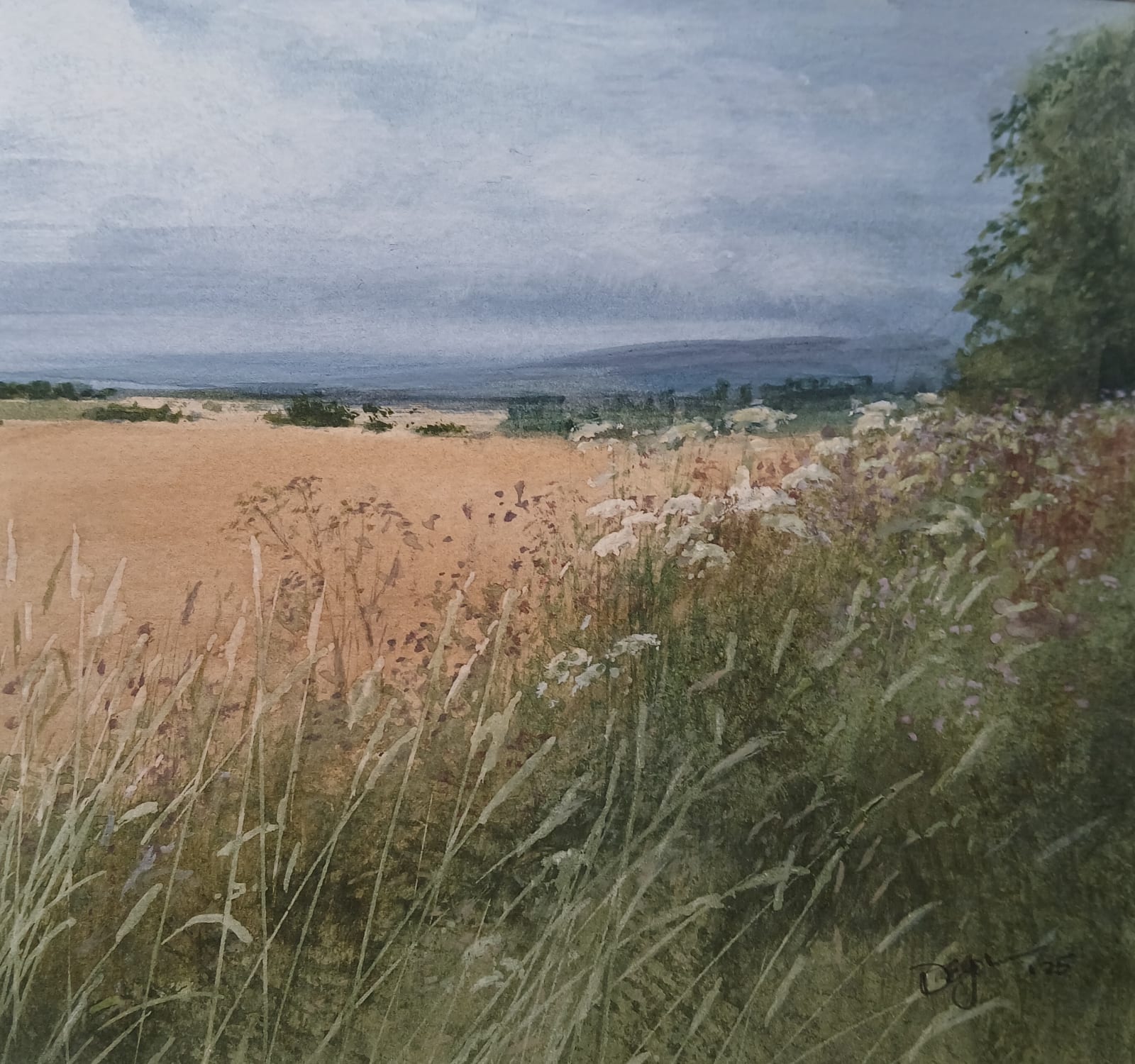 David E Johnston, RSW, A Summer Field Edge, The Mearns
