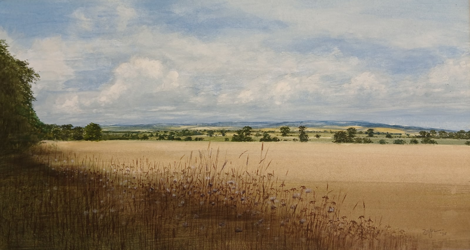 David E Johnston, RSW, Summer Skies Across the Howe
