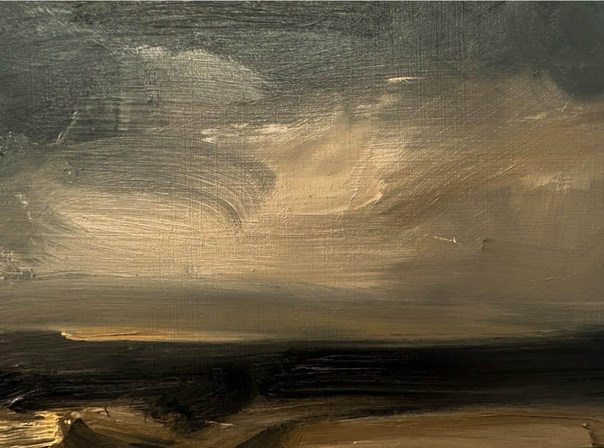 Laura Finlayson, Looking to Ireland (Study)