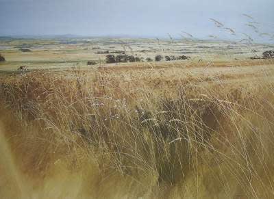 David E Johnston, RSW, Late Summer in the Mearns