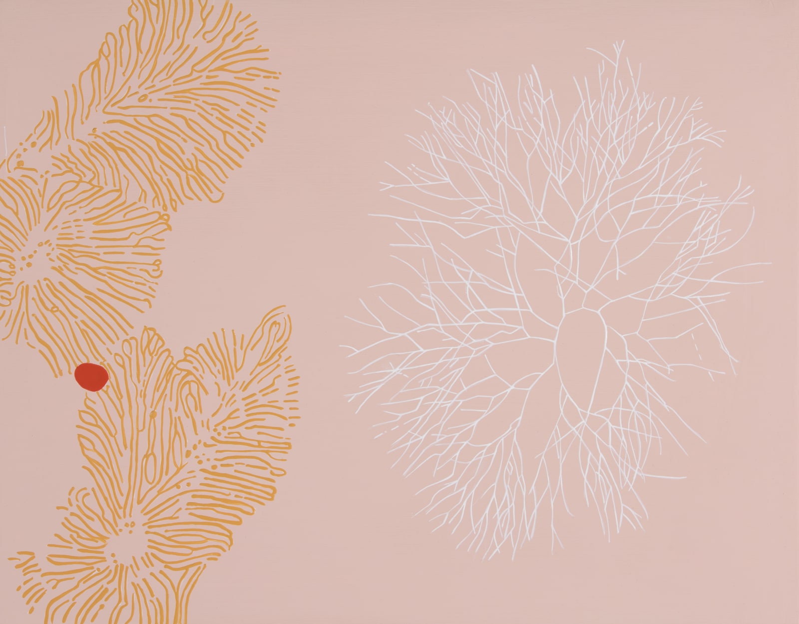 Sharon Quigley, Coral Stream