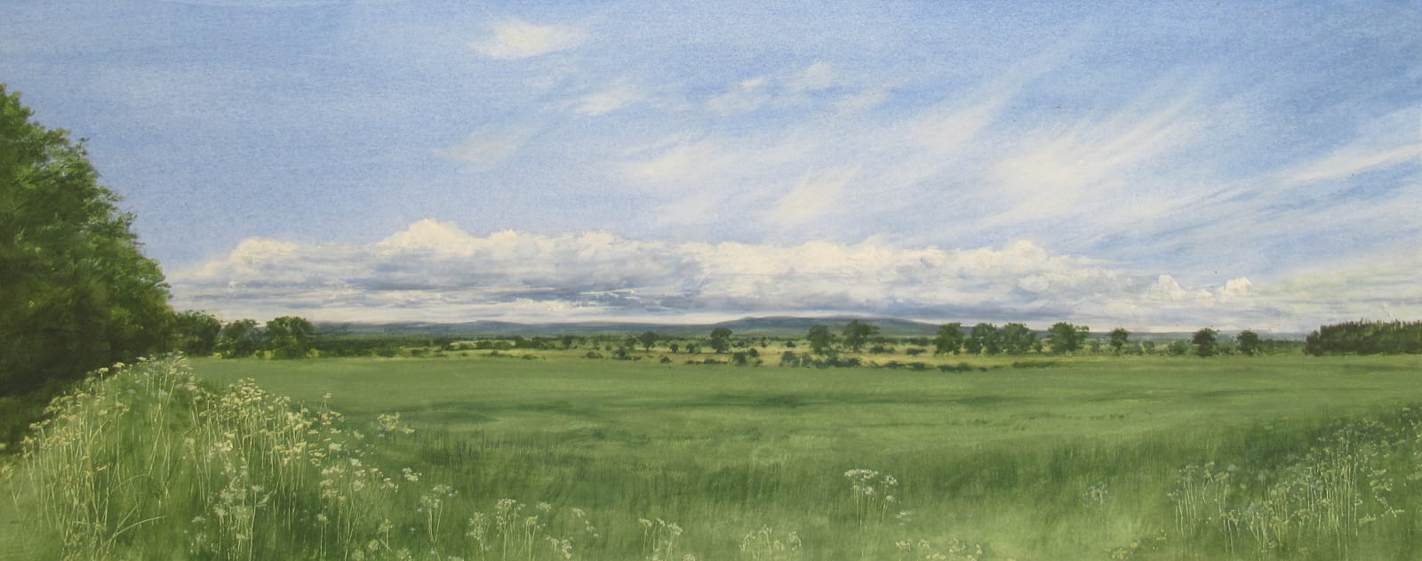 David E Johnston, RSW, Summer Fields, The Mearns, June