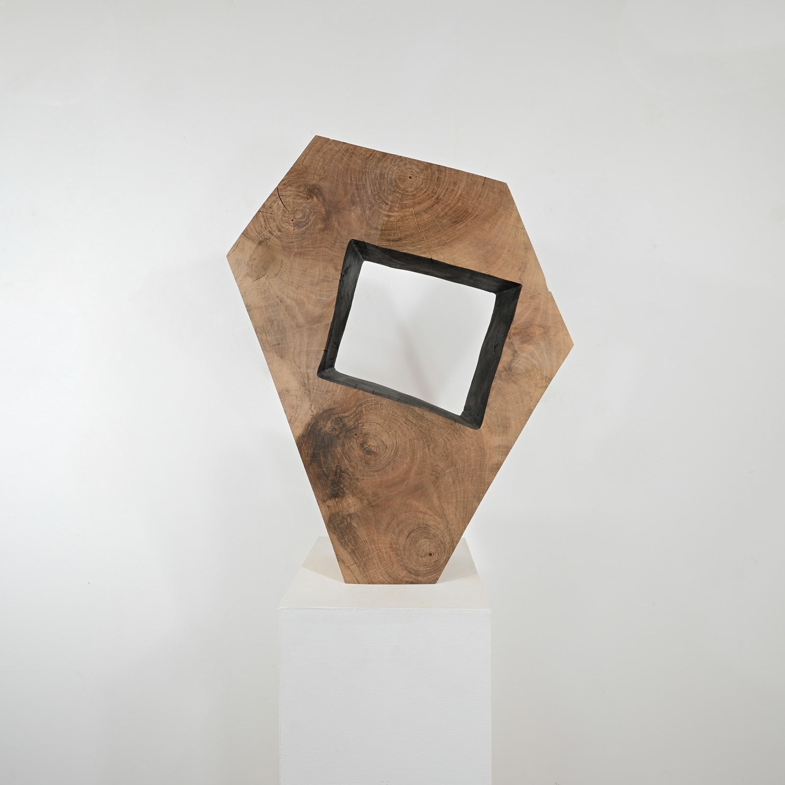 Richard Goldsworthy, Shadow