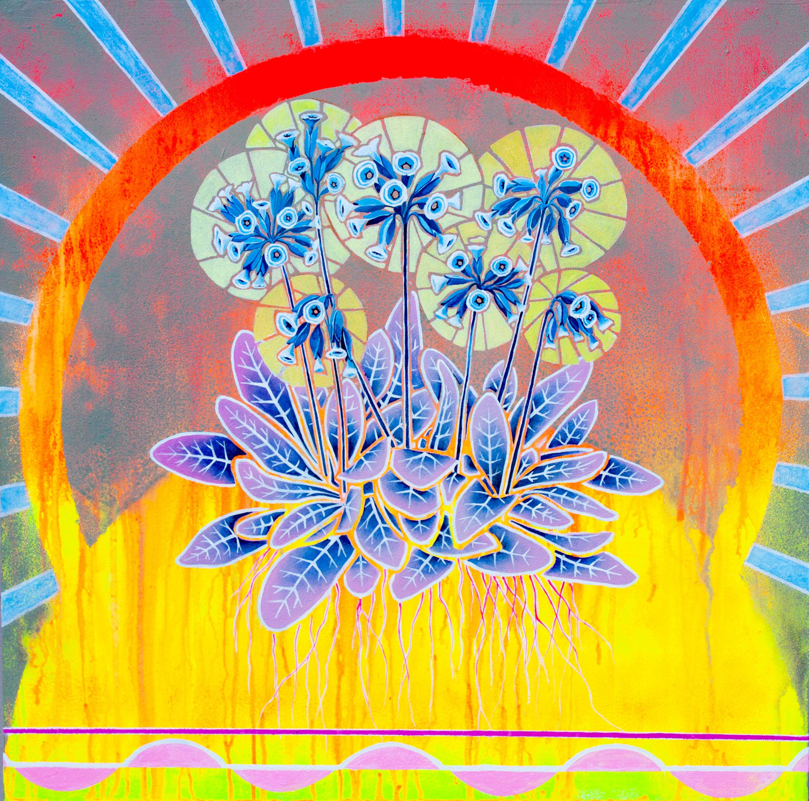 Kirsty Lorenz, Primula veris, Gaddon Loch, Fife