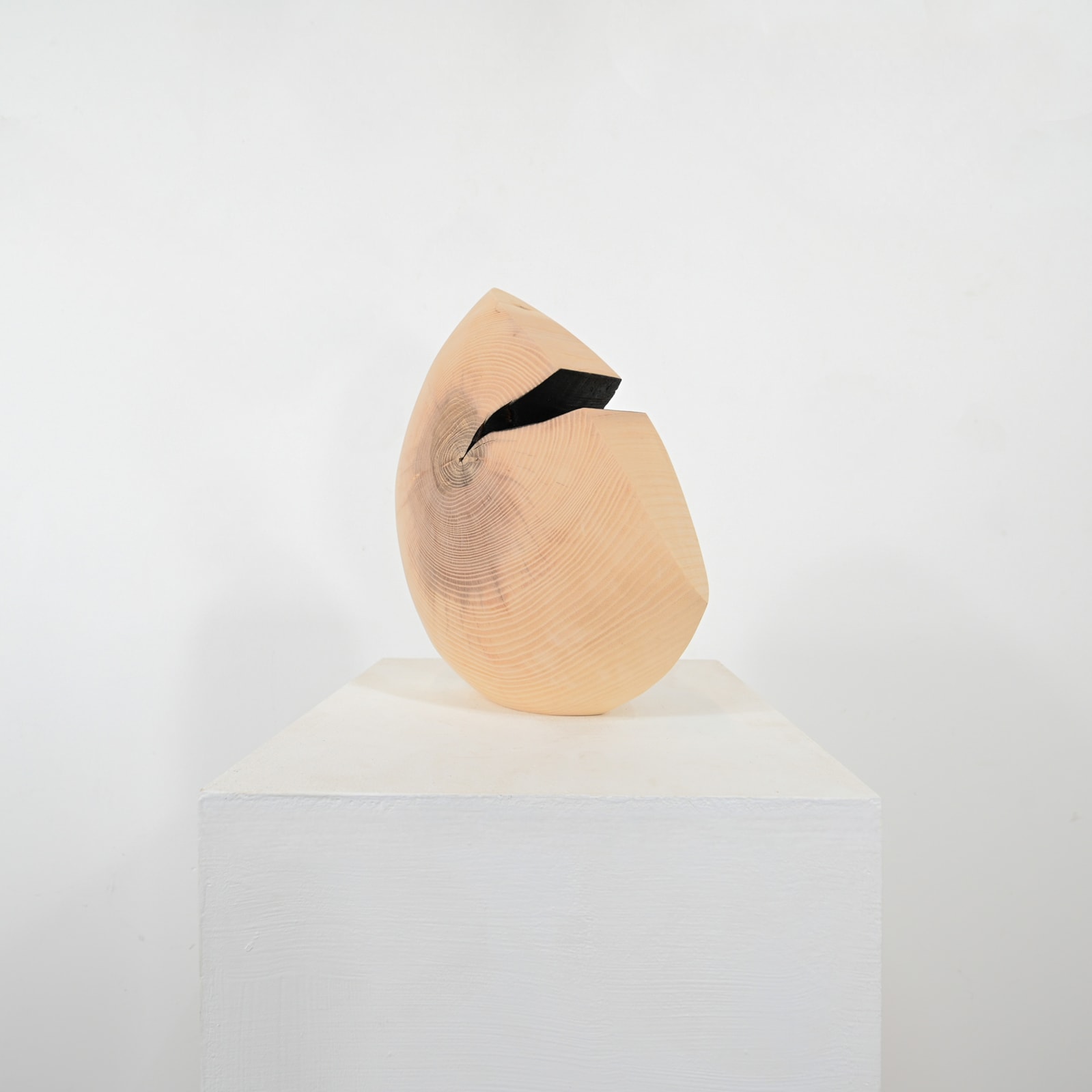 Richard Goldsworthy, Shell
