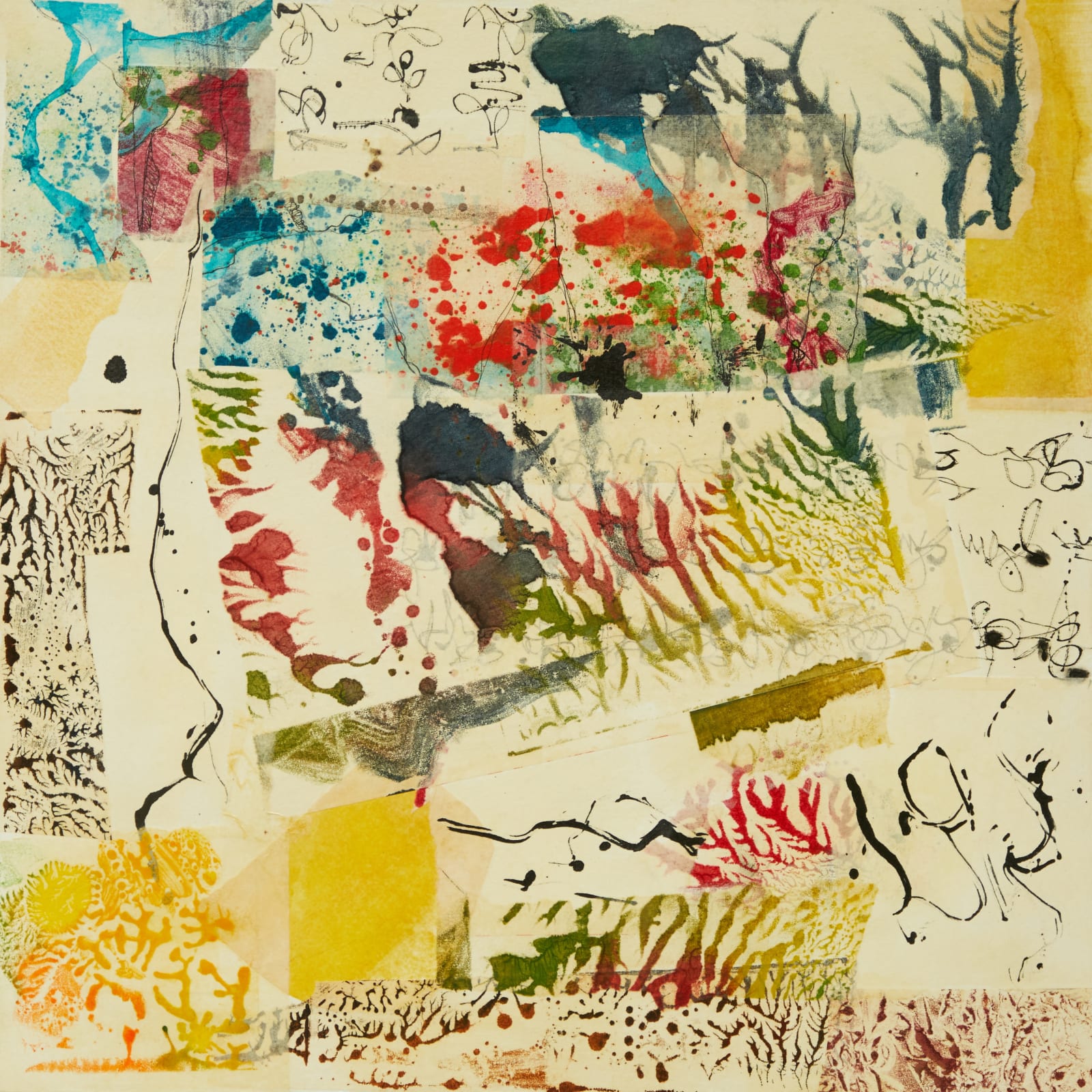 Rita Kermack, Intertidal Haptic Memories : Dunnottar