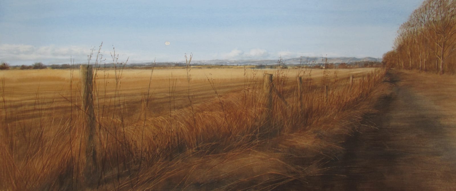David E Johnston, RSW, Late Winter Light, The Mearns