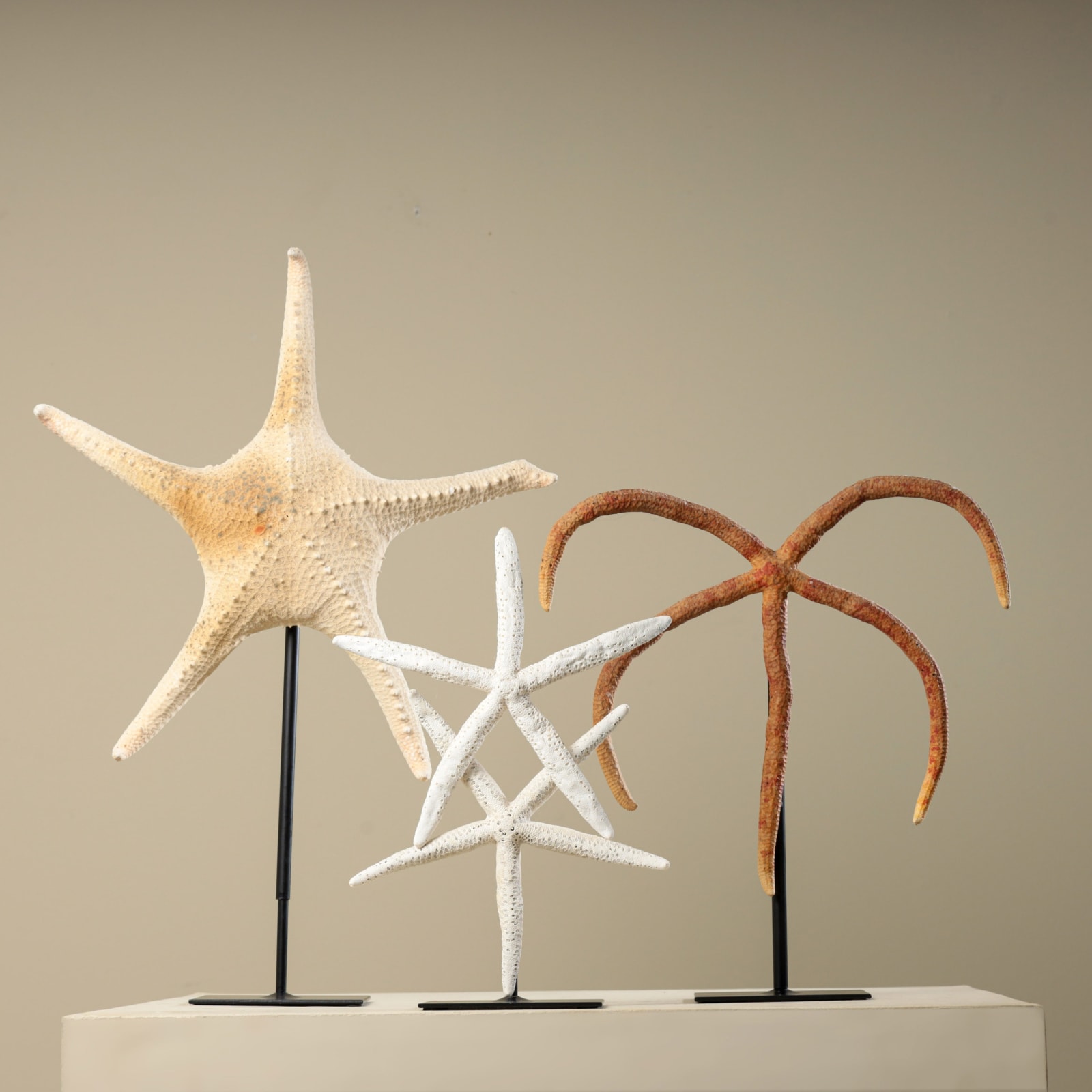 STARFISH