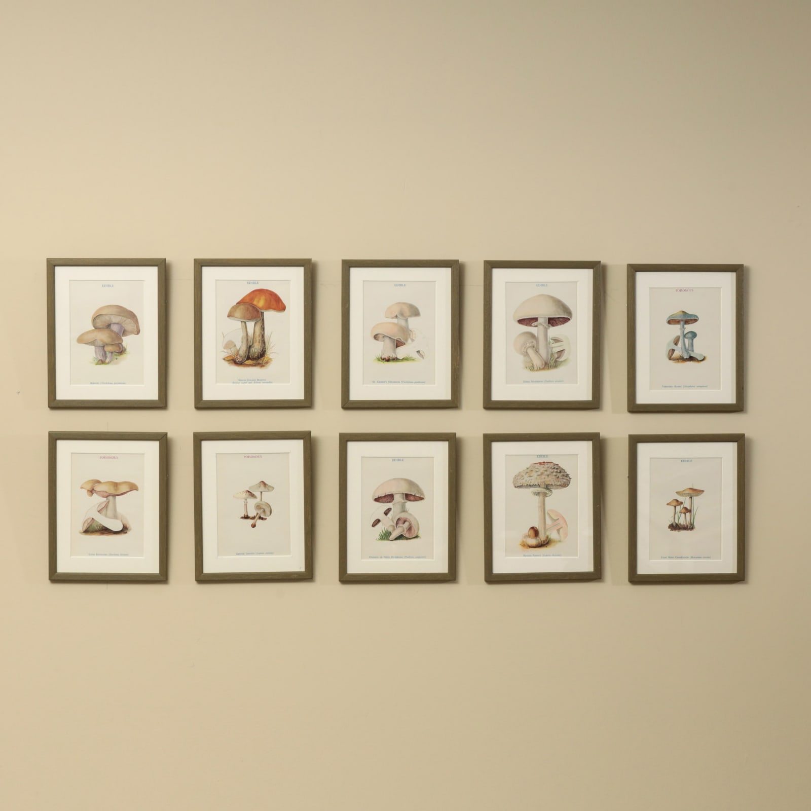 MUSHROOMS