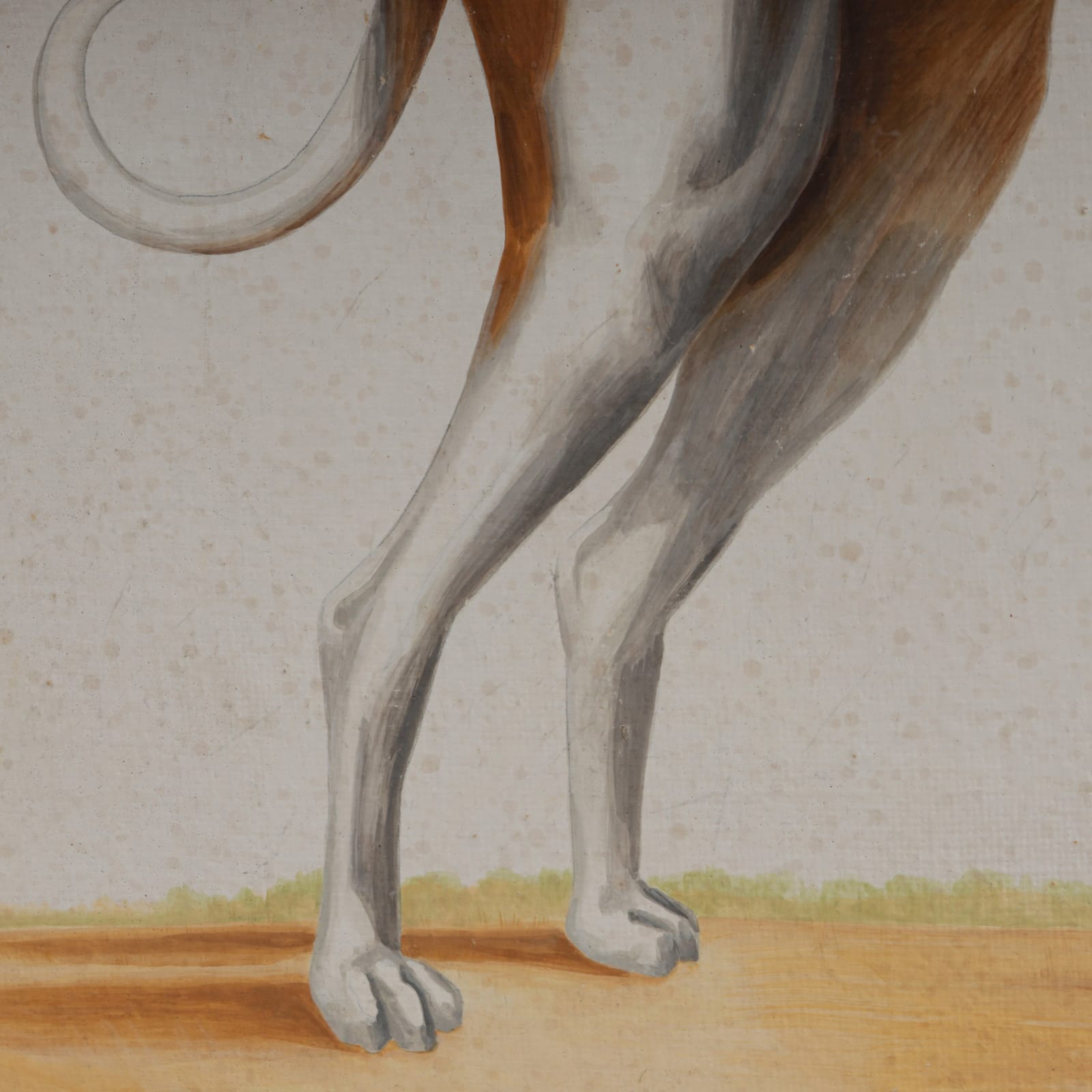 Dog 01