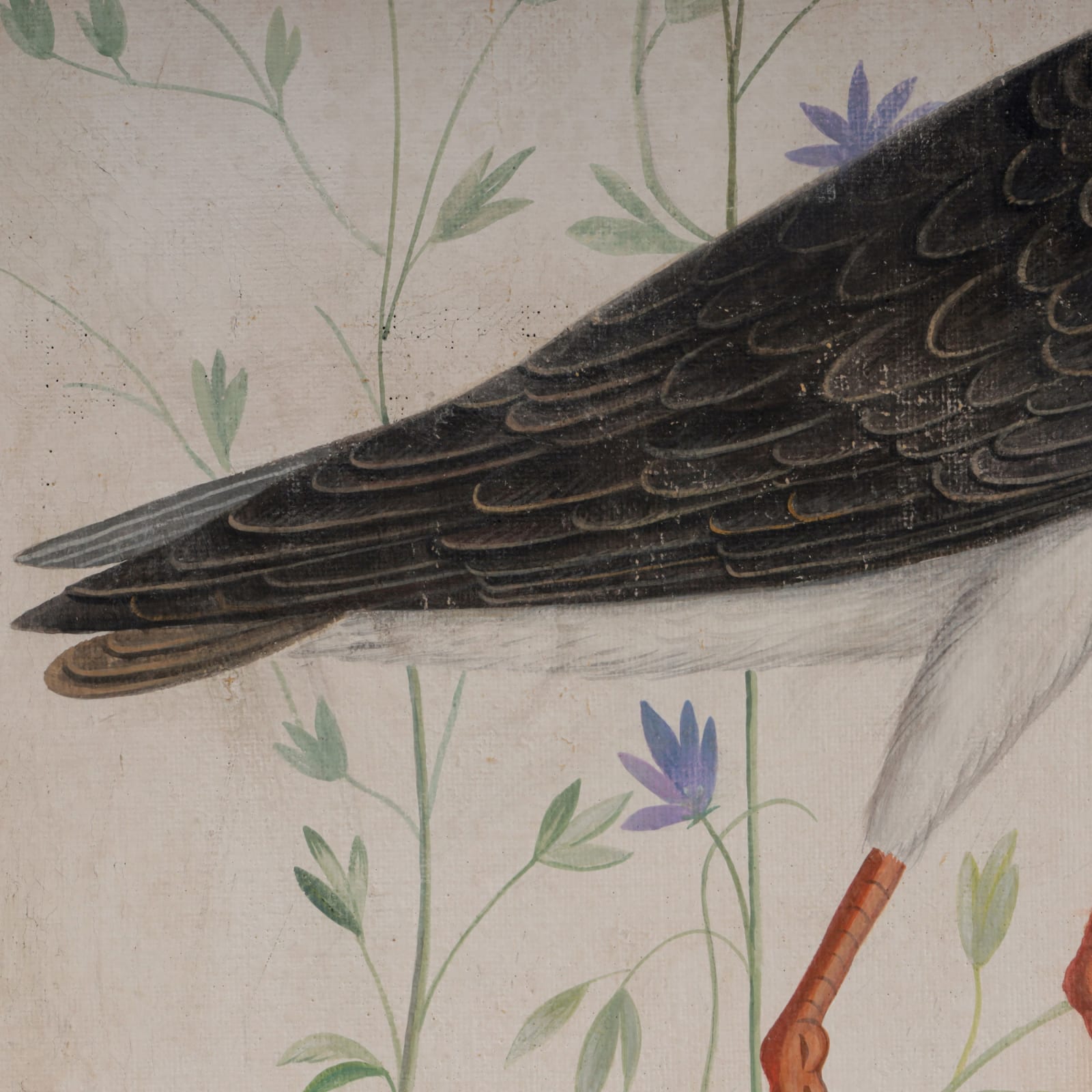 Bird 01