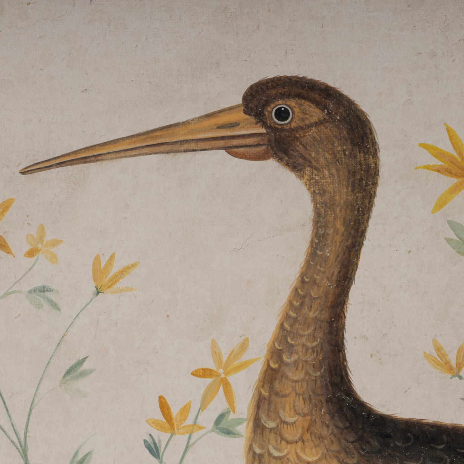 Bird 02