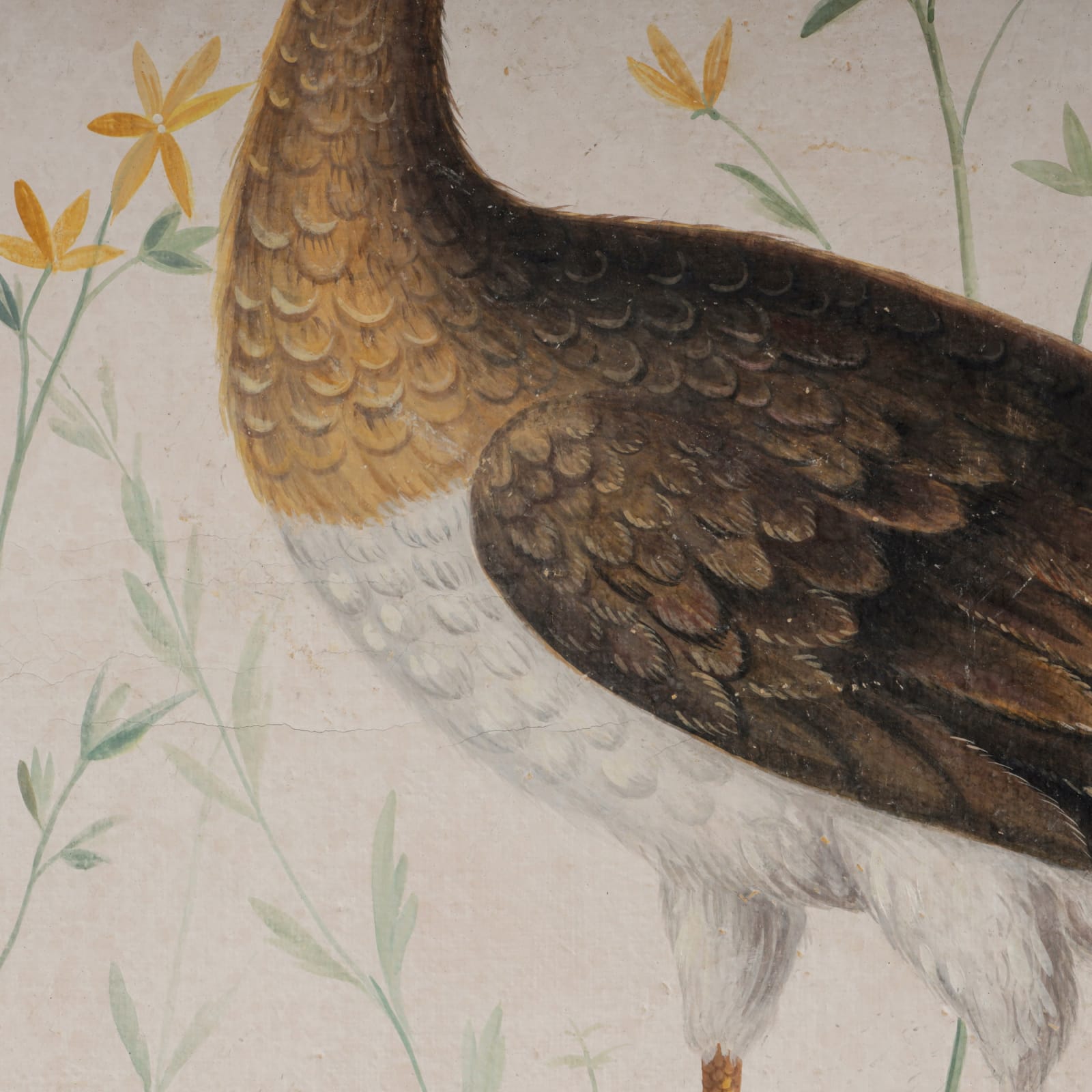 Bird 02