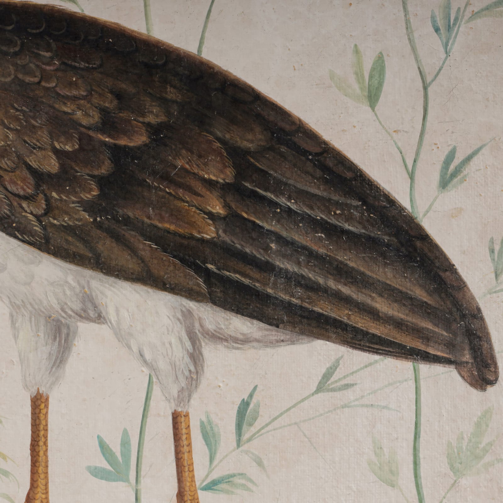 Bird 02