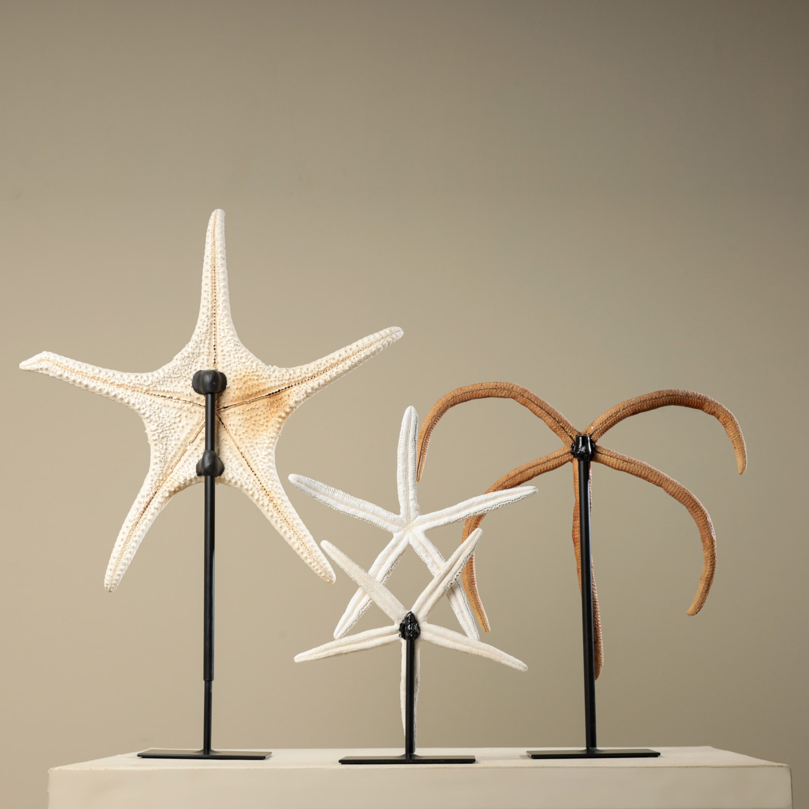 STARFISH