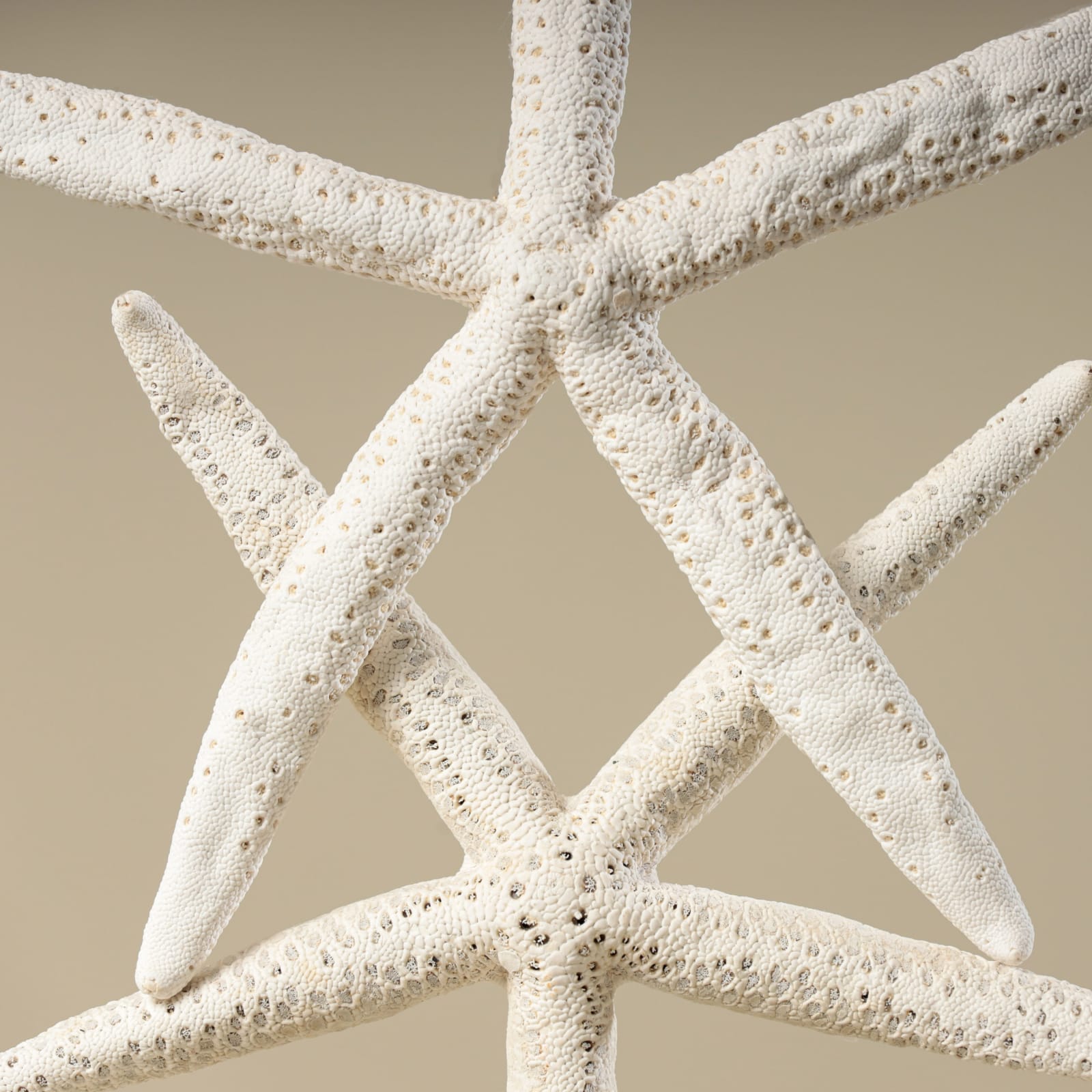STARFISH