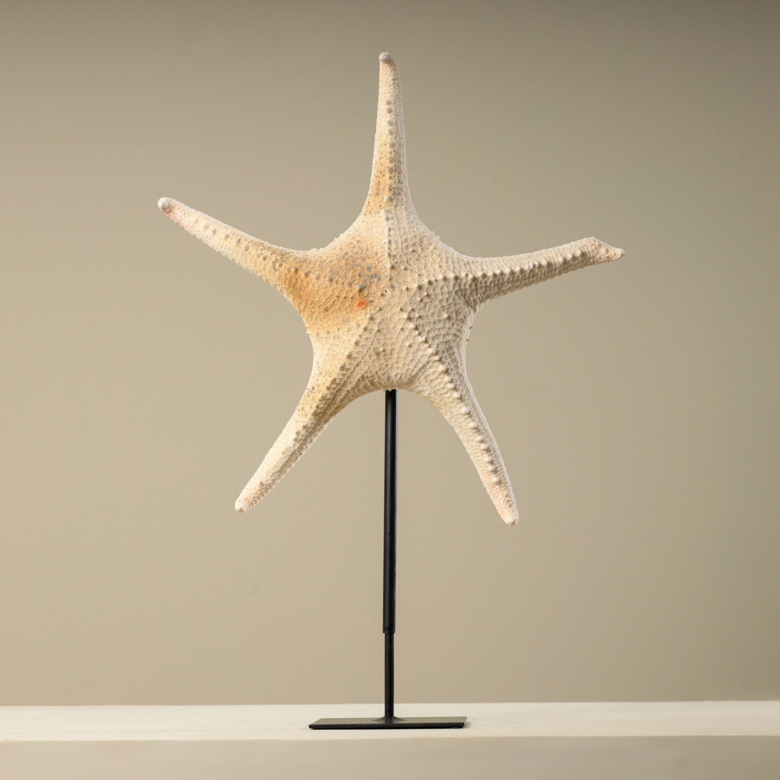 STARFISH