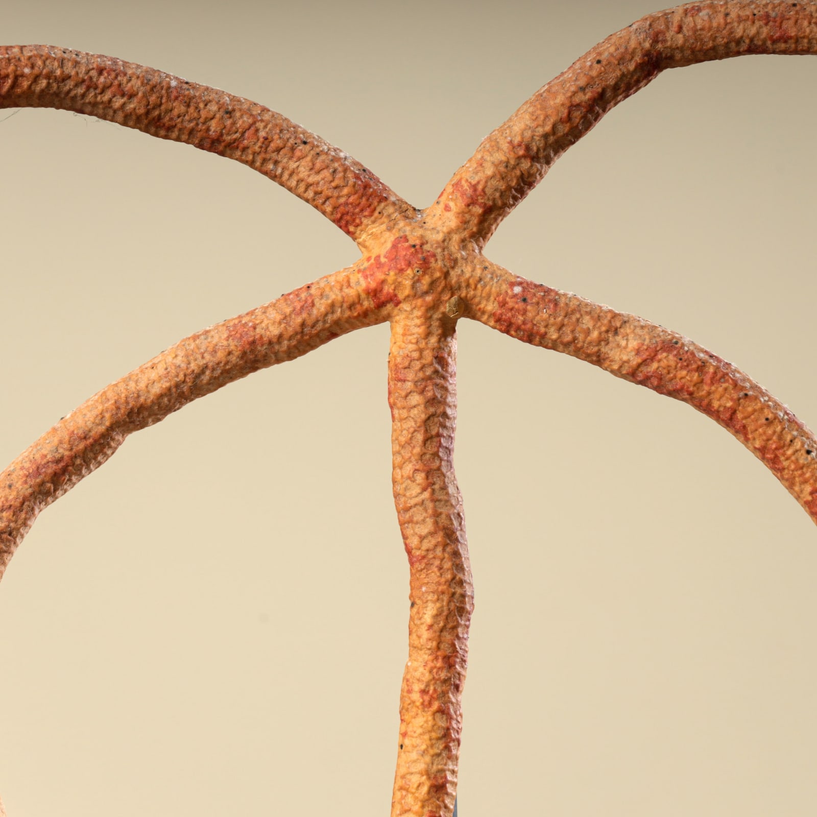 STARFISH