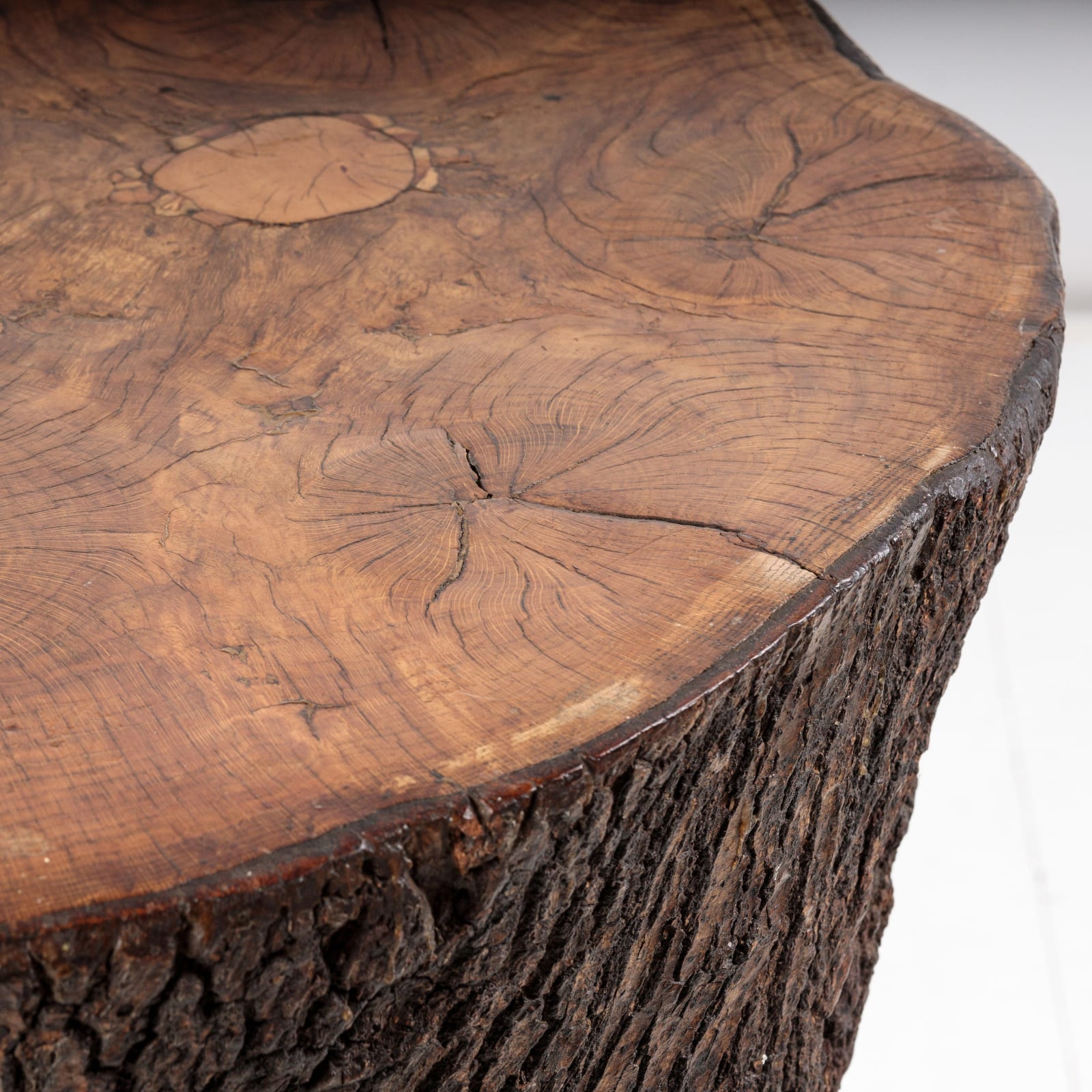 Tree Root Table