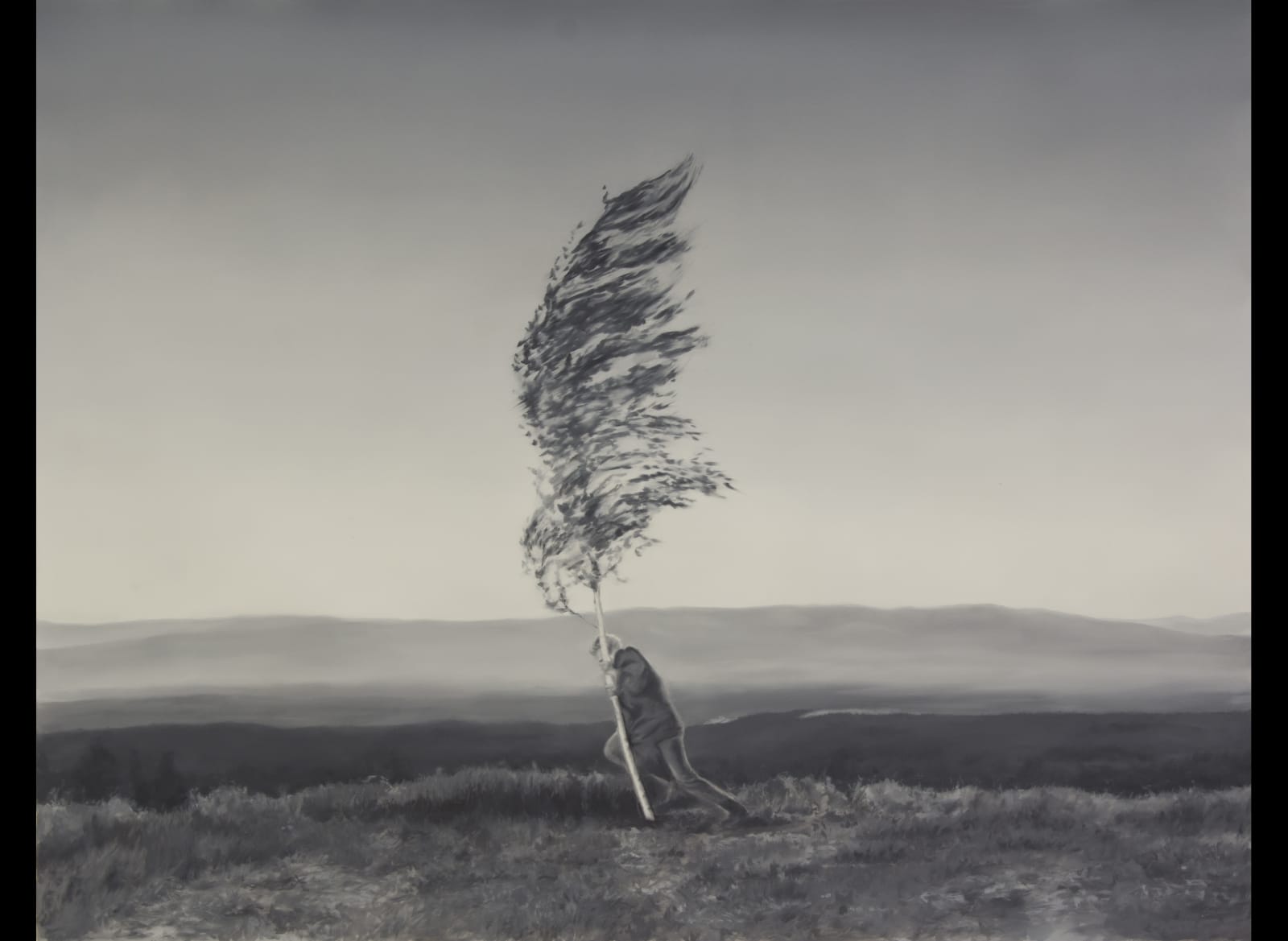 De Cal Y Piedra IV (Lime and Stone IV), 2019