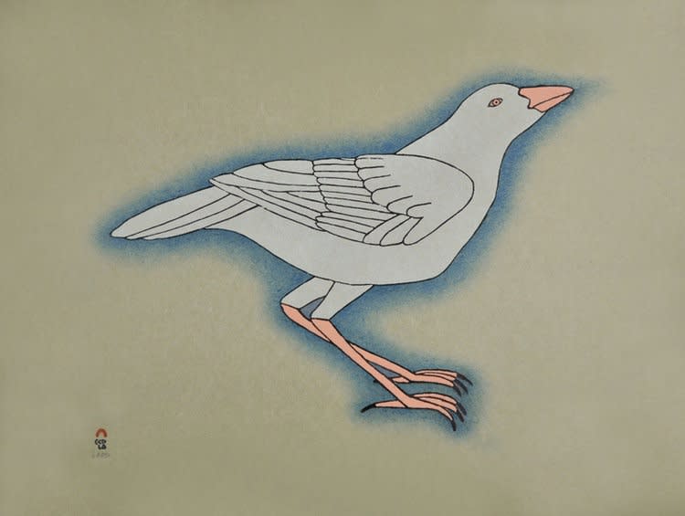 Qavavau Manumie, WHITE RAVEN, 2015